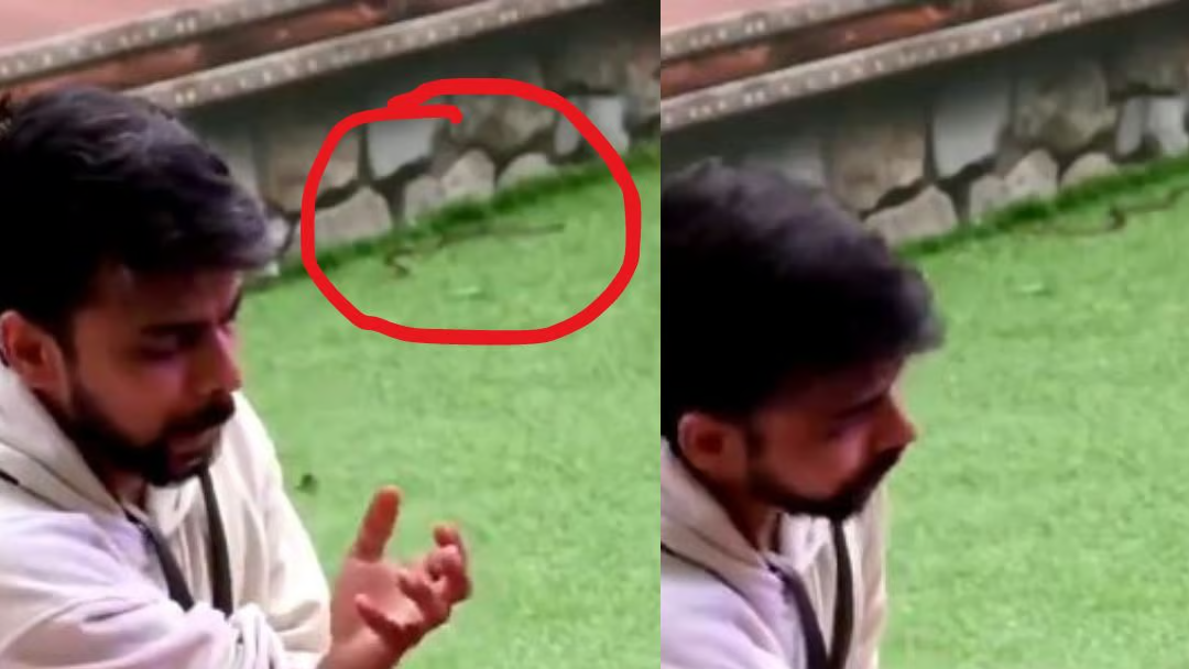 Fans Spot Black Snake Inside Bigg Boss OTT 3 House, Slam Makers Over Safety Of Contestants