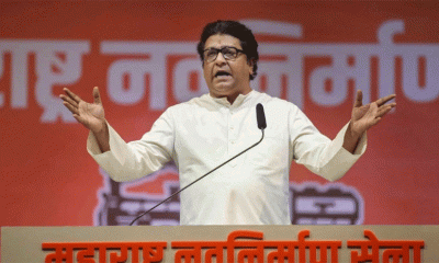 After Backing Mahayuti In Lok Sabha Polls, Raj Thackeray's MNS To Go Solo In Maharashtra Elections
