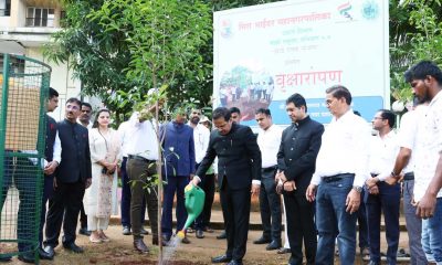 Mira-Bhayandar: MBMC Launches Tree Adoption Scheme To Boost Twin-City's Green Cover