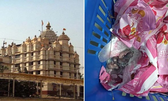 Rats In Laddu Tray: Mumbai's Siddhivinayak Temple Officials Reject Hygiene Concerns, Call It 'Reputation Tarnishing Motive'