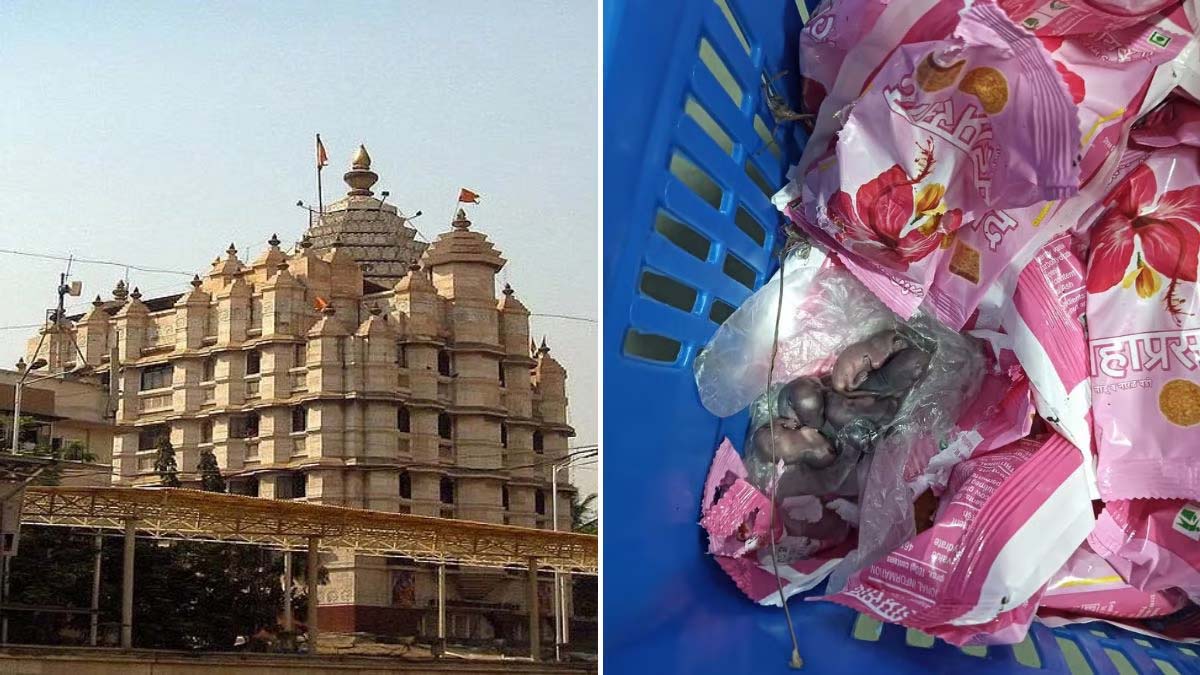 Rats In Laddu Tray: Mumbai's Siddhivinayak Temple Officials Reject Hygiene Concerns, Call It 'Reputation Tarnishing Motive'