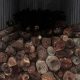 Mumbai: SIIB Foils Rs 10 Crore Red Sandalwood Smuggling Plot, Arrests Importer-Exporter Code Holder