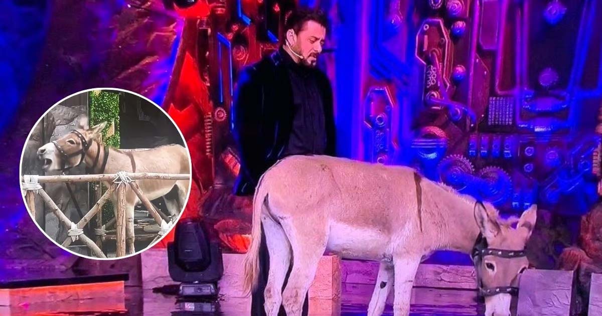 Bigg Boss 18: PETA Urges Salman Khan To Convince Makers Not To Use Animals After They Lock Up A Donkey Inside House